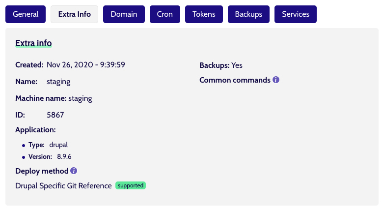 environment-tab-extra-deploy-method.jpg