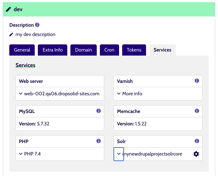 Services tab in an Environment