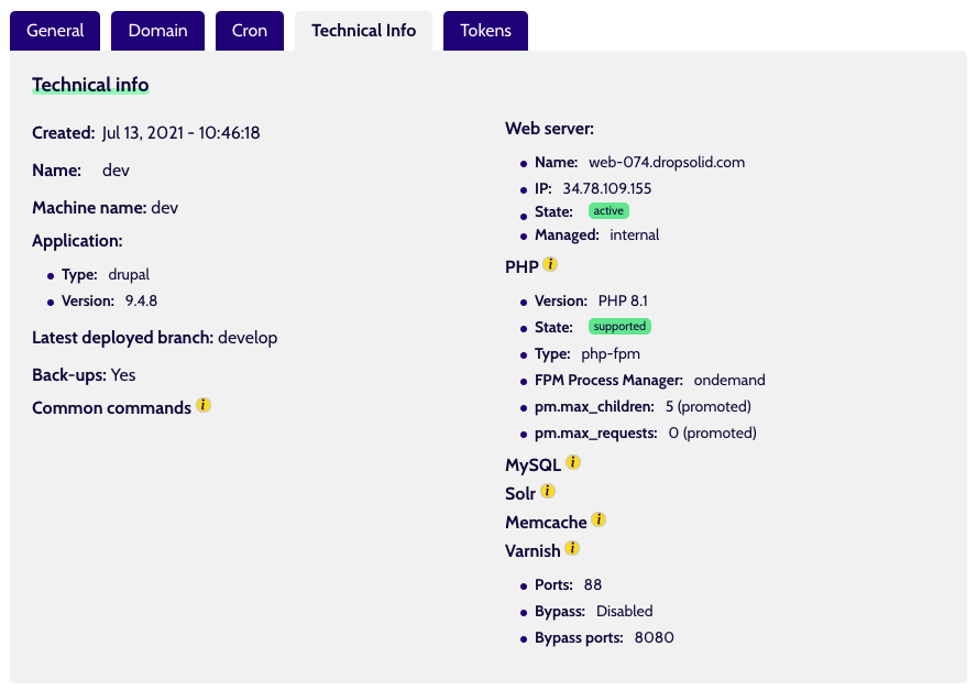 Environment Technical Info tab